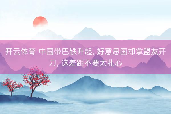 开云体育 中国带巴铁升起, 好意思国却拿盟友开刀, 这差距不要太扎心